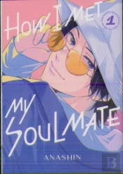 How I Met My Soulmate 1