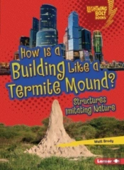 How Is A Building Like A Termite Mound?
