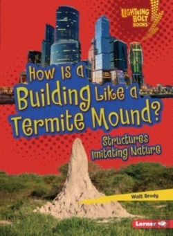 Bertrand.pt - How Is A Building Like A Termite Mound?