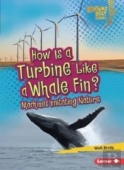 How Is A Turbine Like A Whale Fin?