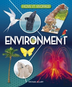Bertrand.pt - How It Works: Environment