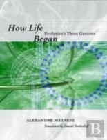 How Life Began