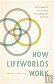 How Lifeworlds Work