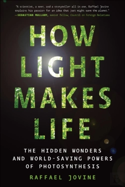 Bertrand.pt - How Light Makes Life