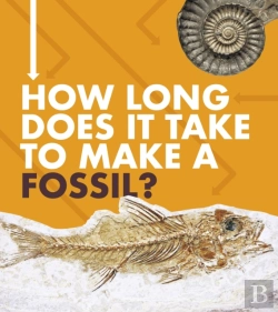 Bertrand.pt - How Long Does It Take To Make A Fos