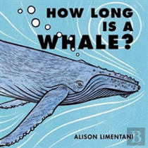 How Long Is A Whale?