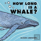 How Long Is A Whale?