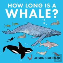 How Long Is A Whale?