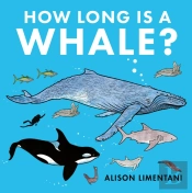 How Long Is A Whale?
