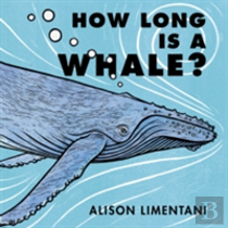 How Long Is A Whale?