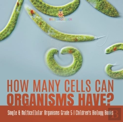 Bertrand.pt - How Many Cells Can Organisms Have? | Single & Multicellular Organisms Grade 5 | Children'S Biology Books