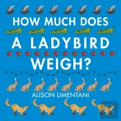 How Much Does A Ladybird Weigh?