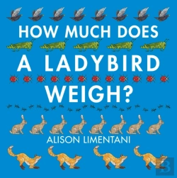 Bertrand.pt - How Much Does A Ladybird Weigh?