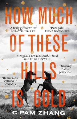 Bertrand.pt - How Much Of These Hills Is Gold