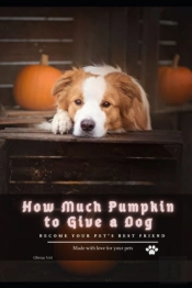 How Much Pumpkin TãÂ¾ Give ÃÂ° Dog