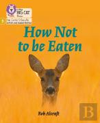 How Not To Be Eaten