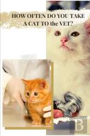 How Often Do You Take A Cat To Thе Vet?