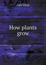 How Plants Grow