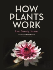 How Plants Work