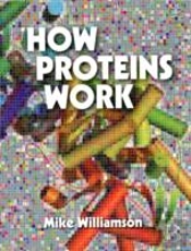 How Proteins Work