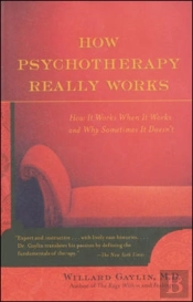How Psychotherapy Really Works