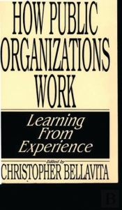 How Public Organizations Work