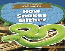 How Snakes Slither