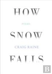 How Snow Falls