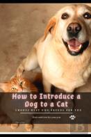 How TãÂ¾ Introduce ÃÂ° Dog TãÂ¾ ÃÂ° Cat