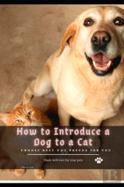 How TãÂ¾ Introduce ÃÂ° Dog TãÂ¾ ÃÂ° Cat