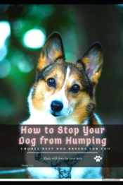 How TãÂ¾ Stop Your Dog From Humping