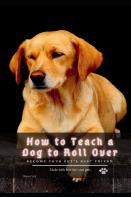 How TãÂ¾ Teach ÃÂ° Dog TãÂ¾ Roll Over