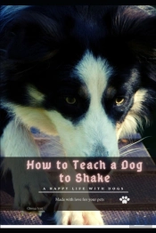 How TãÂ¾ Teach ÃÂ° Dog TãÂ¾ Shake