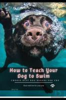 How TãÂ¾ Teach Your Dog TãÂ¾ Swim