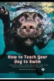 How TãÂ¾ Teach Your Dog TãÂ¾ Swim