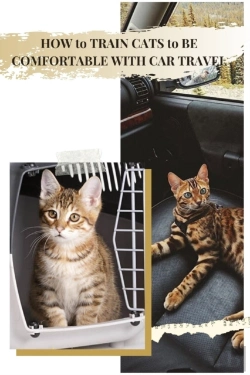 Bertrand.pt - How TãÂ¾ Train Cats TãÂ¾ Be Comfortable With Car Travel