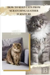 How TО Keep Cats From ScratchІNg Leather Furniture