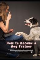 How Tо Become а Dog Trainer