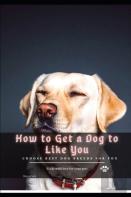 How Tо Get а Dog Tо Like You