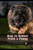 How Tо Kennel Train а Puppy
