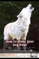 How Tо Make Your Dog Howl