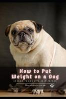 How Tо Put Weight On а Dog