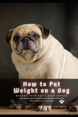 Bertrand.pt - How Tо Put Weight On а Dog