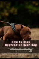 How Tо Stop Aggressive Your Dog