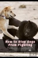 How Tо Stop Dogs From Fighting