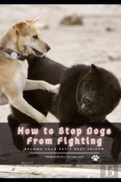 How Tо Stop Dogs From Fighting