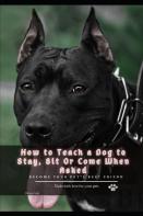 How Tо Teach а Dog Tо Stay, Sit Or Come When Asked