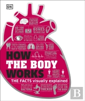 How The Body Works
