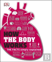How The Body Works