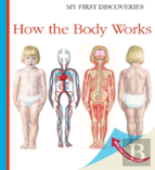 How The Body Works